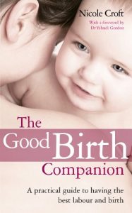 Download The Good Birth Companion: A Practical Guide to Having the Best Labour and Birth pdf, epub, ebook