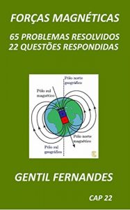 Download FORÇAS MAGNÉTICAS: 65 PROBLEMAS RESOLVIDOS 22 QUESTÕES RESPONDIDAS (Portuguese Edition) pdf, epub, ebook