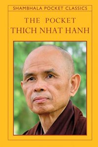 Download The Pocket Thich Nhat Hanh (Shambhala Pocket Classics) pdf, epub, ebook