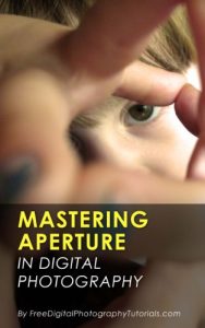 Download Mastering Camera Aperture: Digital Photography Tips and Tricks for Beginners on How to Control Depth of Field pdf, epub, ebook