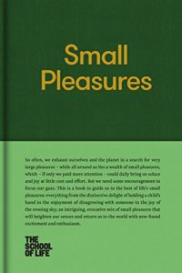 Download Small Pleasures pdf, epub, ebook