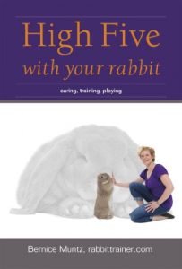 Download High five with your rabbit pdf, epub, ebook