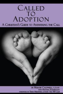 Download Called to Adoption: A Christian’s Guide to Answering the Call pdf, epub, ebook