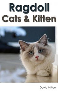 Download Ragdoll Cats & Kitten pdf, epub, ebook