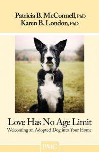 Download Love Has No Age Limit: Welcoming an Adopted Dog into Your Home pdf, epub, ebook