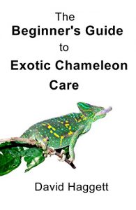 Download The Beginner’s Guide to Exotic Chameleon Care pdf, epub, ebook