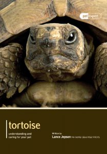 Download Tortoise (Expert Series Book 2) pdf, epub, ebook