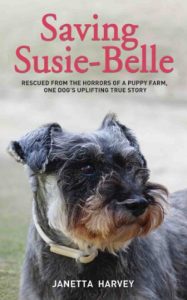 Download Saving Susie-Belle – Rescued from the Horrors of a Puppy Farm, One Dog’s Uplifting True Story pdf, epub, ebook