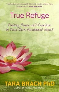 Download True Refuge: Finding Peace and Freedom in Your Own Awakened Heart pdf, epub, ebook