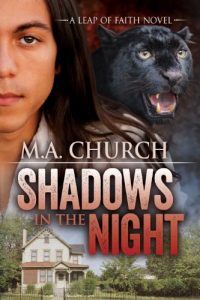 Download Shadows in the Night (Leap of Faith Book 1) pdf, epub, ebook