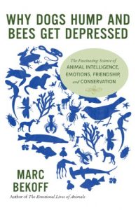 Download Why Dogs Hump and Bees Get Depressed: The Fascinating Science of Animal Intelligence, Emotions, Friendship, and Conservation pdf, epub, ebook