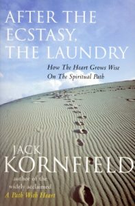 Download After The Ecstasy, The Laundry pdf, epub, ebook