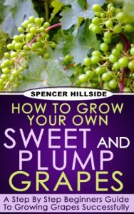 Download How To Grow Your Own Sweet and Plump Grapes pdf, epub, ebook