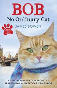 Download Bob: No Ordinary Cat pdf, epub, ebook