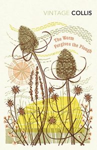 Download The Worm Forgives the Plough (Vintage Classics) pdf, epub, ebook