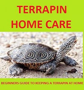 Download Terrapin Home Care: Everything you need to know to Keep Terrapins at home pdf, epub, ebook