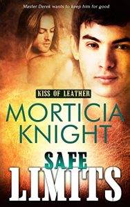 Download Safe Limits (Kiss of Leather Book 2) pdf, epub, ebook