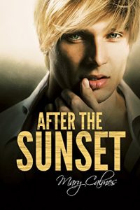 Download After the Sunset (Timing Book 2) pdf, epub, ebook