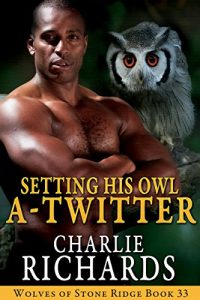 Download Setting His Owl A-Twitter (Wolves of Stone Ridge Book 33) pdf, epub, ebook