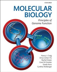 Download Molecular Biology: Principles of Genome Function pdf, epub, ebook