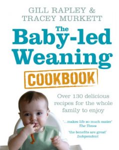 Download The Baby-led Weaning Cookbook: Over 130 delicious recipes for the whole family to enjoy pdf, epub, ebook