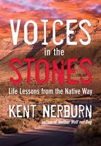 Download Voices in the Stones: Life Lessons from the Native Way pdf, epub, ebook