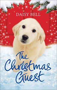 Download The Christmas Guest: A Christmas story to melt your heart pdf, epub, ebook