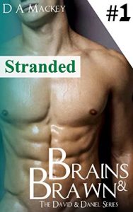 Download Brains & Brawn  (Book 1) : The David and Daniel Series: Stranded (Passion Paradox: David and Daniel) pdf, epub, ebook