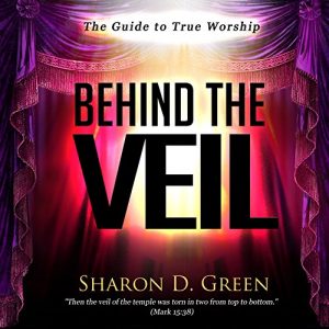 Download Behind the Veil: The Guide to True Worship pdf, epub, ebook