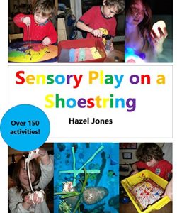 Download Sensory Play on a Shoestring pdf, epub, ebook