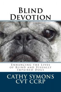 Download Blind Devotion pdf, epub, ebook