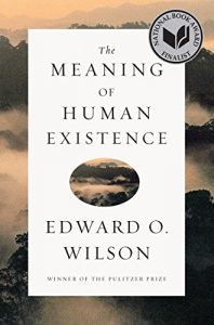 Download The Meaning of Human Existence pdf, epub, ebook