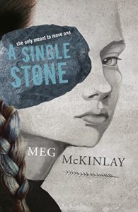 Download A Single Stone pdf, epub, ebook