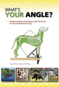 Download What’s Your Angle pdf, epub, ebook