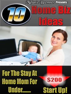 Download 10 Home Biz Ideas for the Stay at Home Mom pdf, epub, ebook