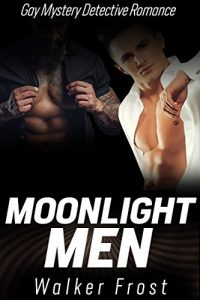 Download Romance: Gay Romance: Moonlight Men (Mystery Private Investigator Police Romance) (Crime Fiction Detective Male Male Romance Book 1) pdf, epub, ebook
