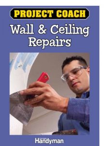 Download Project Coach: Wall and Ceiling Repairs pdf, epub, ebook