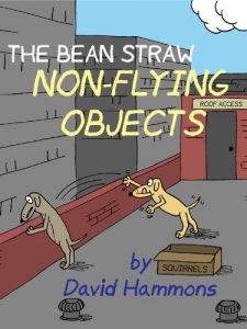 Download The Bean Straw: Non-Flying Objects pdf, epub, ebook