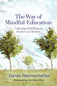 Download The Way of Mindful Education: Cultivating Well-Being in Teachers and Students (Norton Books in Education) pdf, epub, ebook