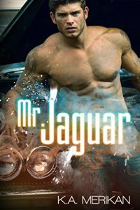 Download Mr. Jaguar (contemporary M/M cinderfella romance) pdf, epub, ebook