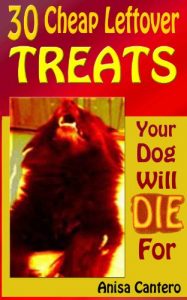 Download 30 Cheap Leftover Treats Your Dog Will Die For pdf, epub, ebook