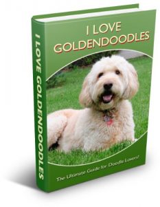 Download I Love Goldendoodles: The Ultimate Guide for Doodle Lovers! pdf, epub, ebook