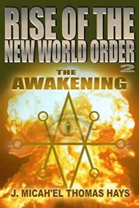 Download Rise of the New World Order 2: The Awakening pdf, epub, ebook