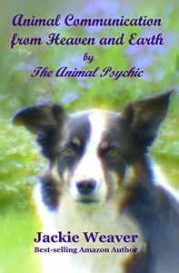 Download Animal Communication from Heaven and Earth: by The Animal Psychic pdf, epub, ebook