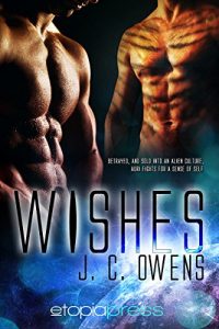 Download Wishes pdf, epub, ebook