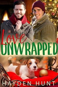 Download Love Unwrapped pdf, epub, ebook
