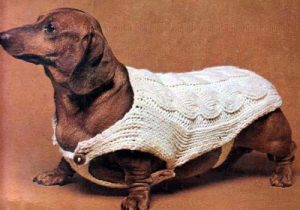 Download Cable Stitch Dachshund Dog Sweater Blanket Coat Knitting Pattern pdf, epub, ebook