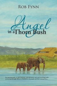 Download Angel in a Thorn Bush pdf, epub, ebook