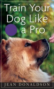 Download Train Your Dog Like a Pro pdf, epub, ebook