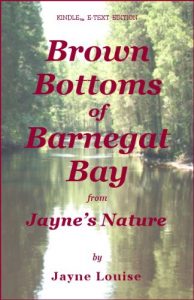 Download Brown Bottoms of Barnegat Bay (Jayne’s Nature) pdf, epub, ebook